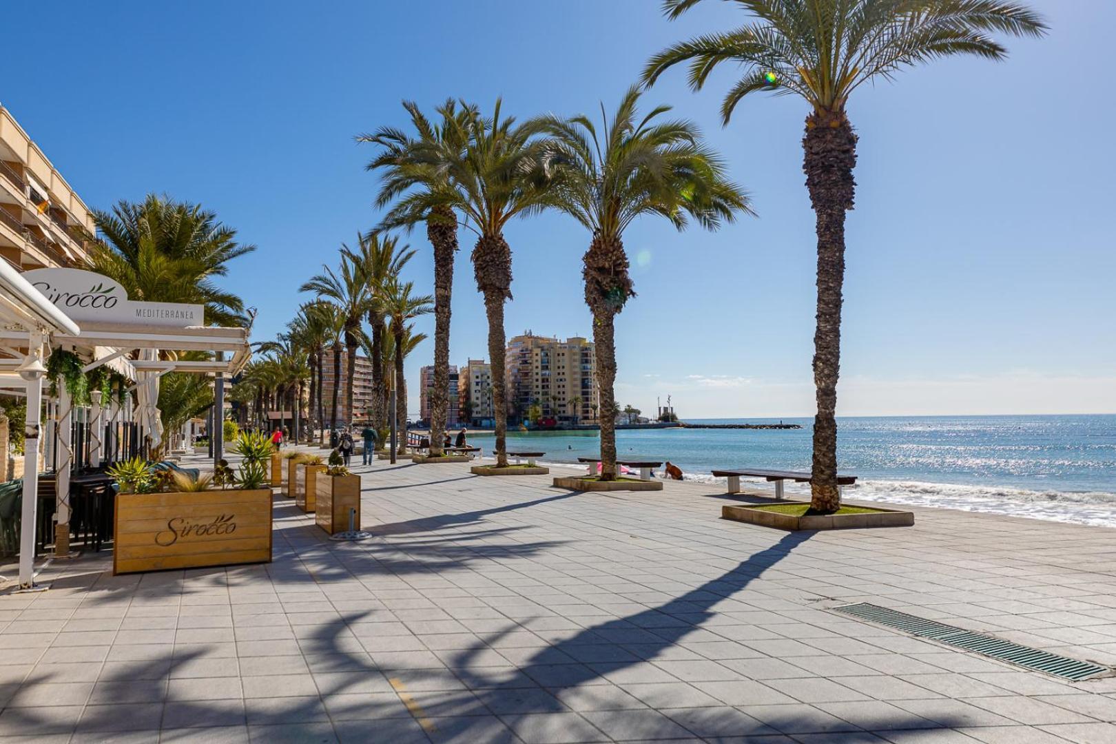 Apartamento Concordia Apartment Torrevieja Exterior photo
